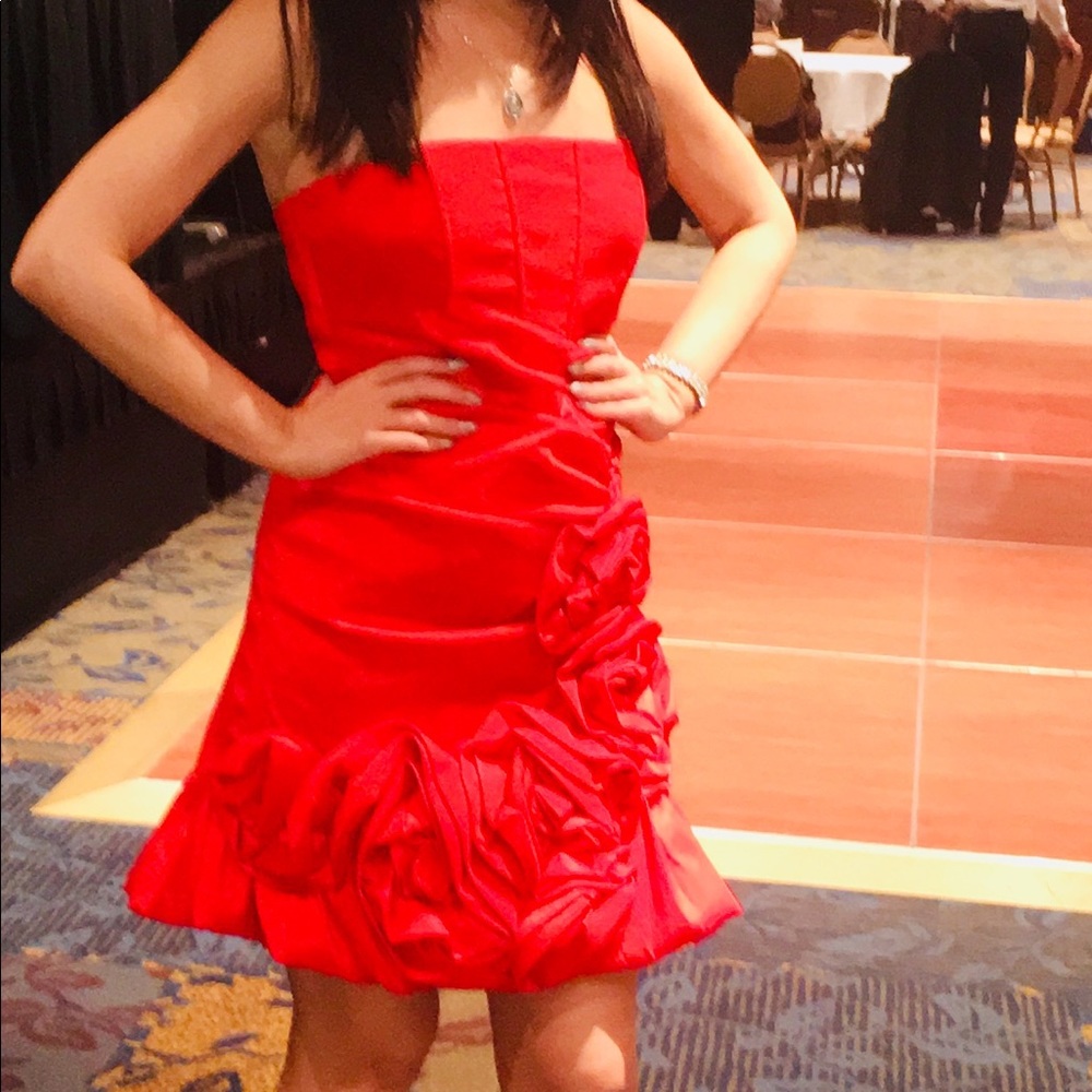 Red Roses Dress